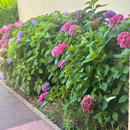 Les Secrets Des Jardins Apartment *